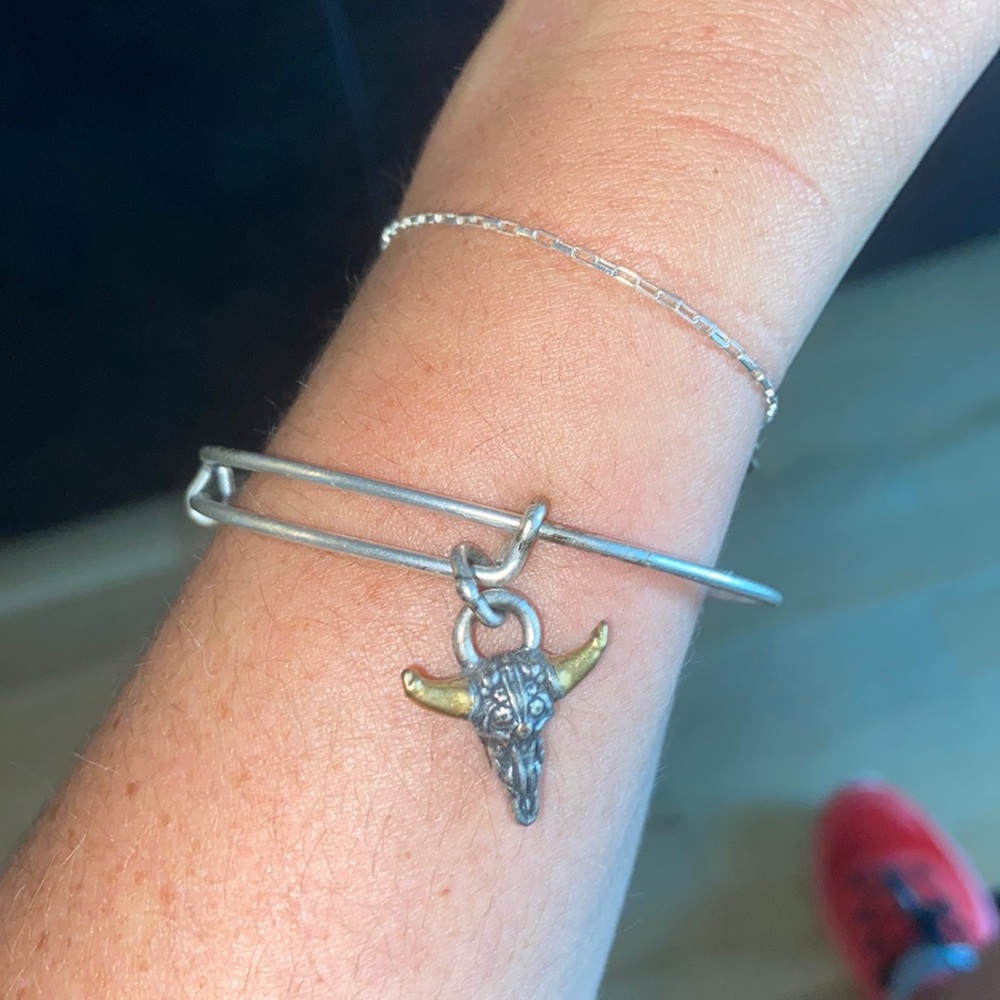 Alex & Ani skull bracelet